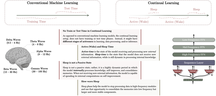 Language Models Need Sleep: Learning to Self-Modify and Consolidate Memories