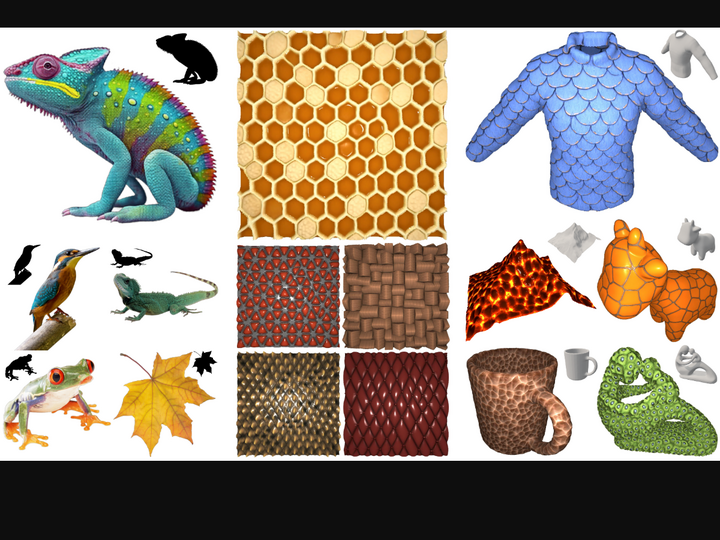 High-Res Neural Cellular Automata