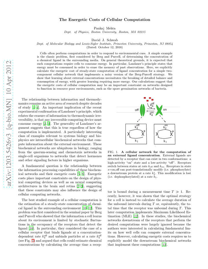 The Energetic Costs of Cellular Computation