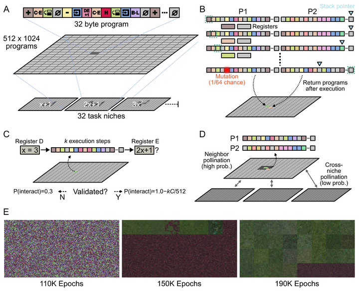Co-evolution of self-replication and function in a digital primordial soup