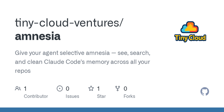 Amnesia - audit Claude Code's memory for contradictions