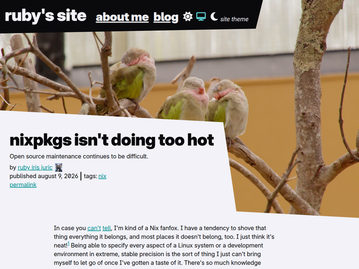 nixpkgs isn’t doing too hot