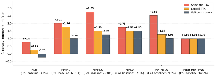Test-Time Augmentation for LLMs