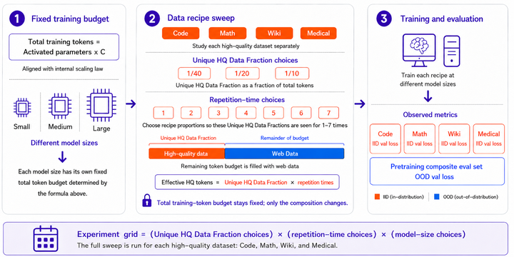 Scaling Domain Data Repetition in LLM Pretraining