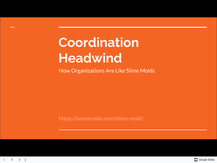 Coordination Headwind: How Organizations Are Like Slime Molds